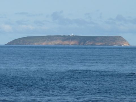 Photo of Althorpe Island