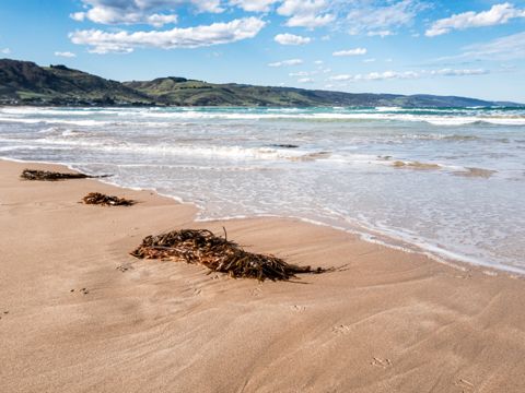 Photo of Apollo Bay Beach