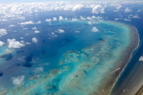 Photo of Arlington Reef