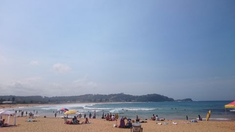 Photo of Avoca Beach