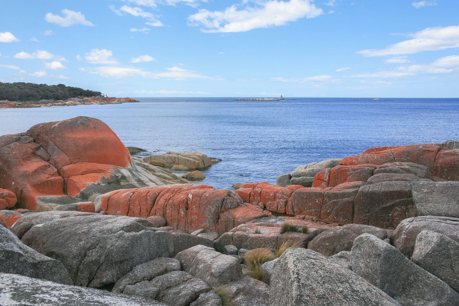 Primary photo of Bay of Fires Dive (boat-accessible sites)