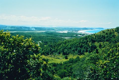 Photo of Bilinga Beach