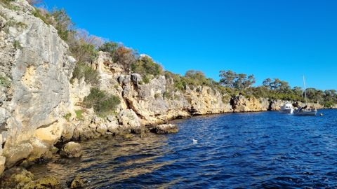 Blackwall Reach snorkelling spot