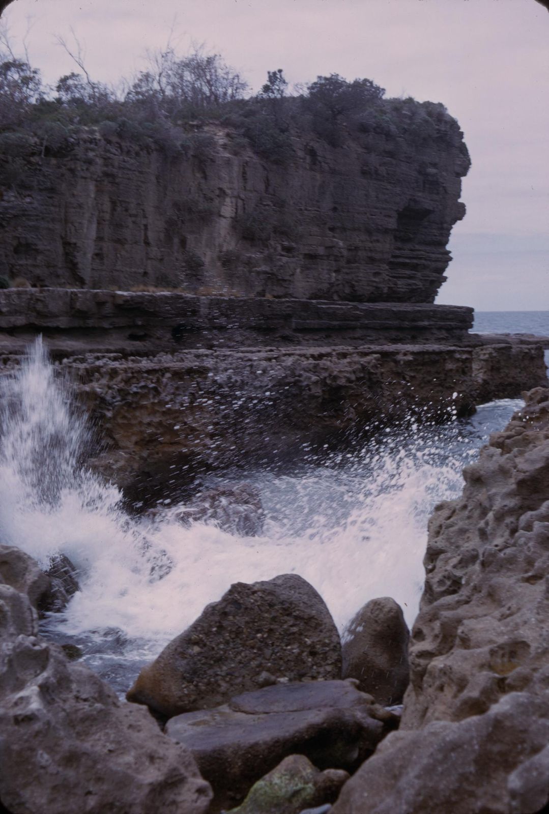 Primary photo of Blowhole (Eaglehawk Neck)