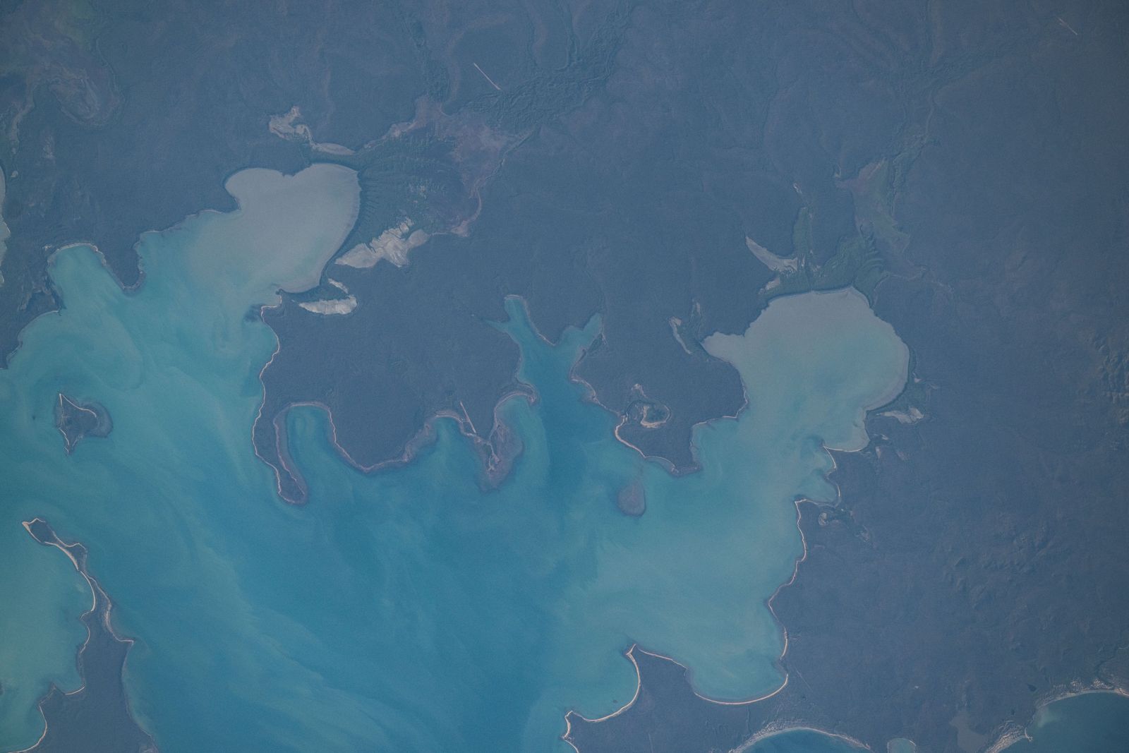 Primary photo of Blue Mud Bay