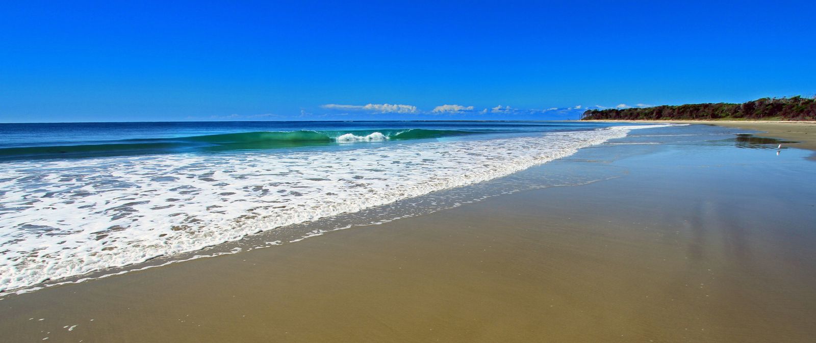 Primary photo of Bluff Beach (Iluka Bluff)