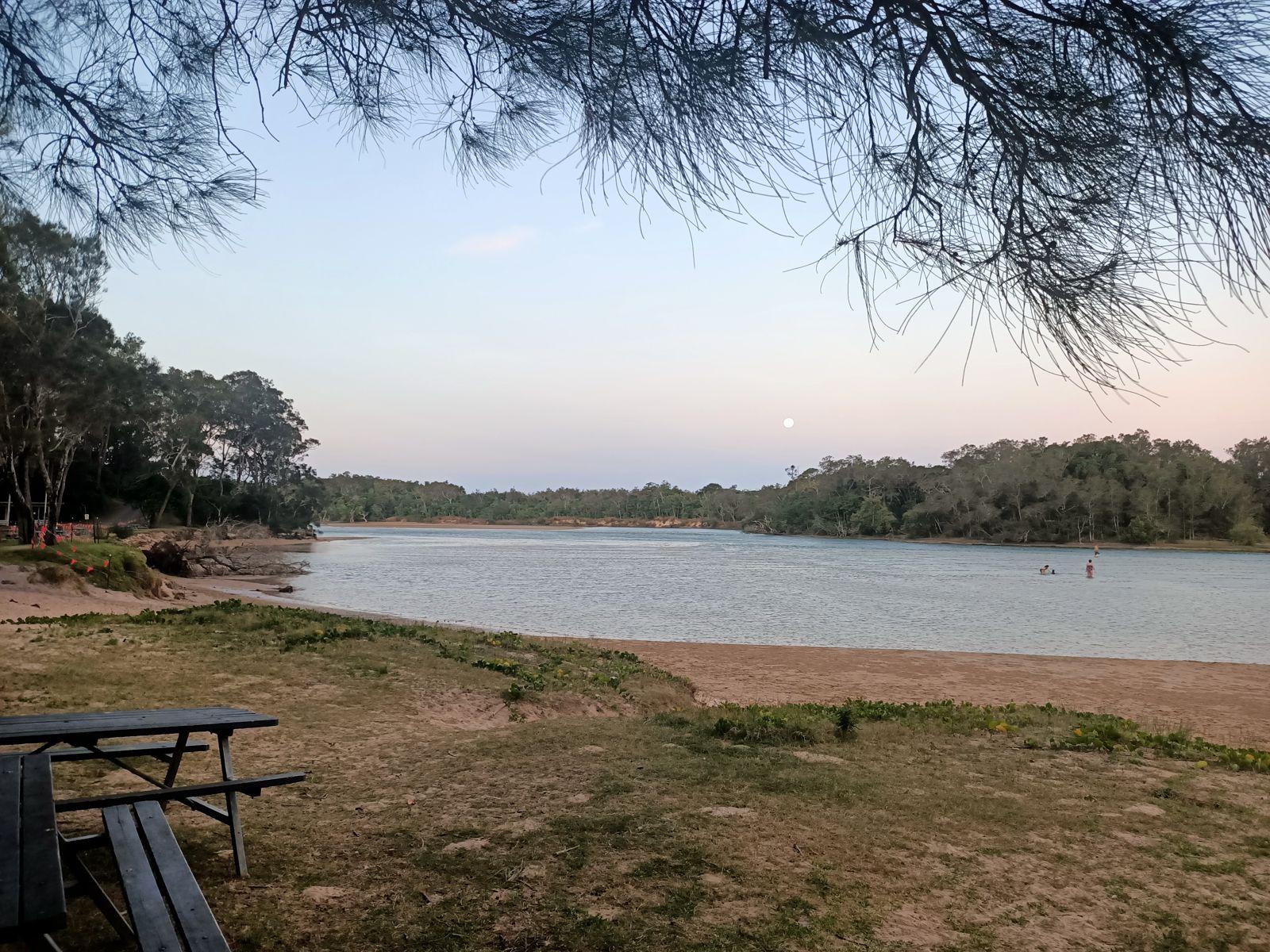 Primary photo of Boambee Creek