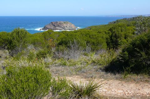 Photo of Bournda Island