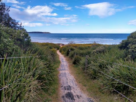 Photo of Broulee Beach