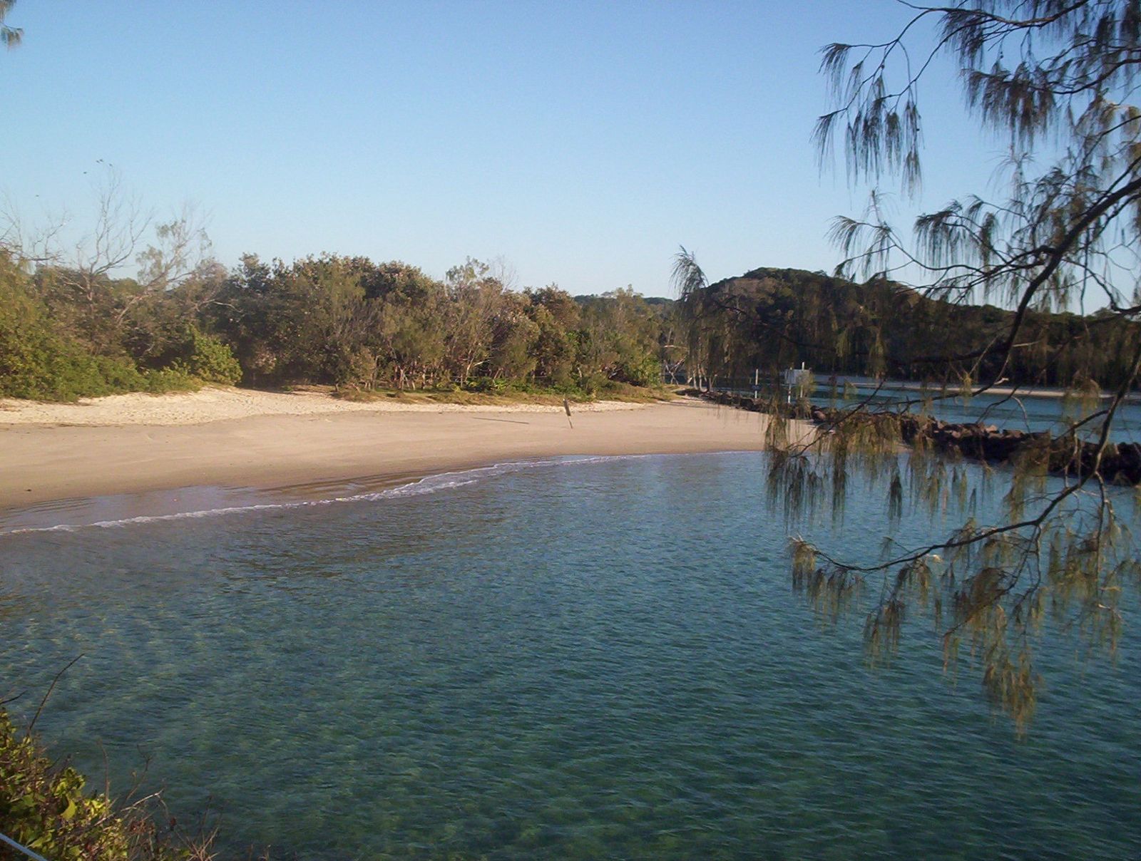 Primary photo of Brunswick River (River Snorkelling at Brunswick Heads)
