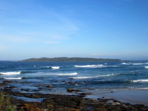 Photo of Brush Island (The Pinnacle)