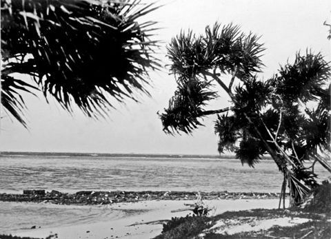 Photo of Bunker Group Reefs (general)