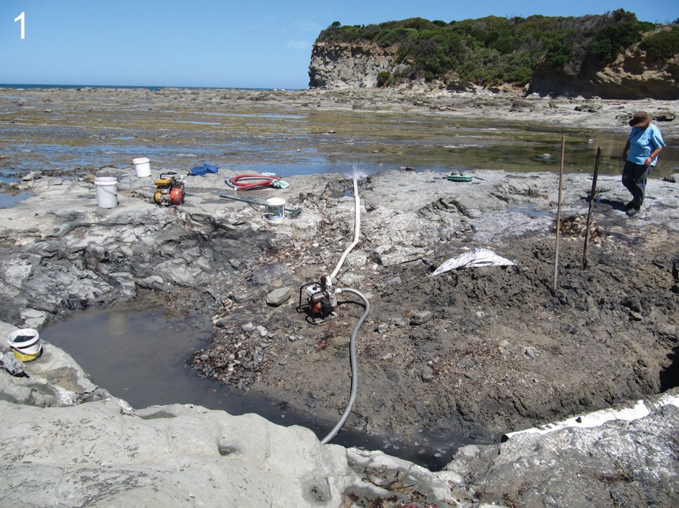Primary photo of Bunurong Marine Park (rock platforms)