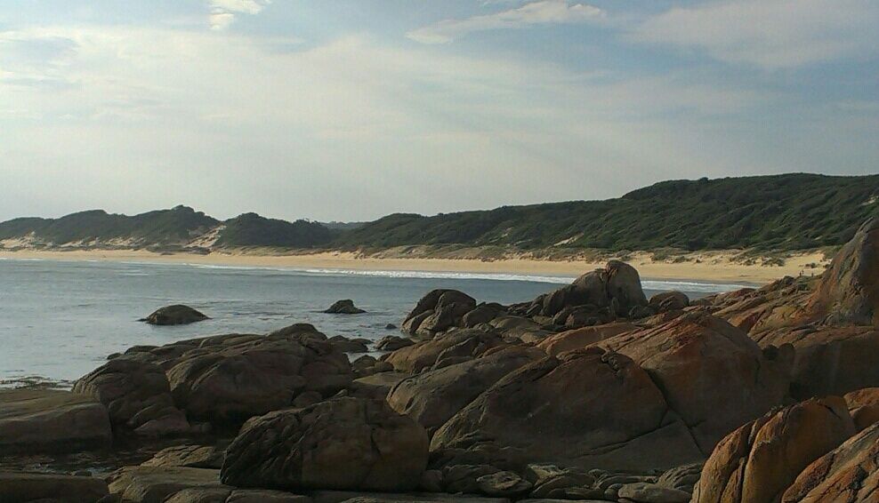 Primary photo of Cape Conran Coastal Park (West Cape dive sites)