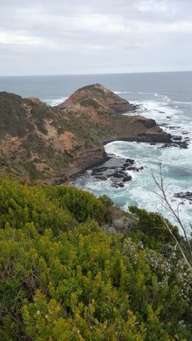 Photo of Cape Schanck (shore dive / snorkel)