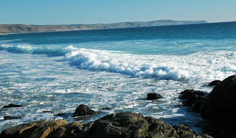 Photo of Carrickalinga Head