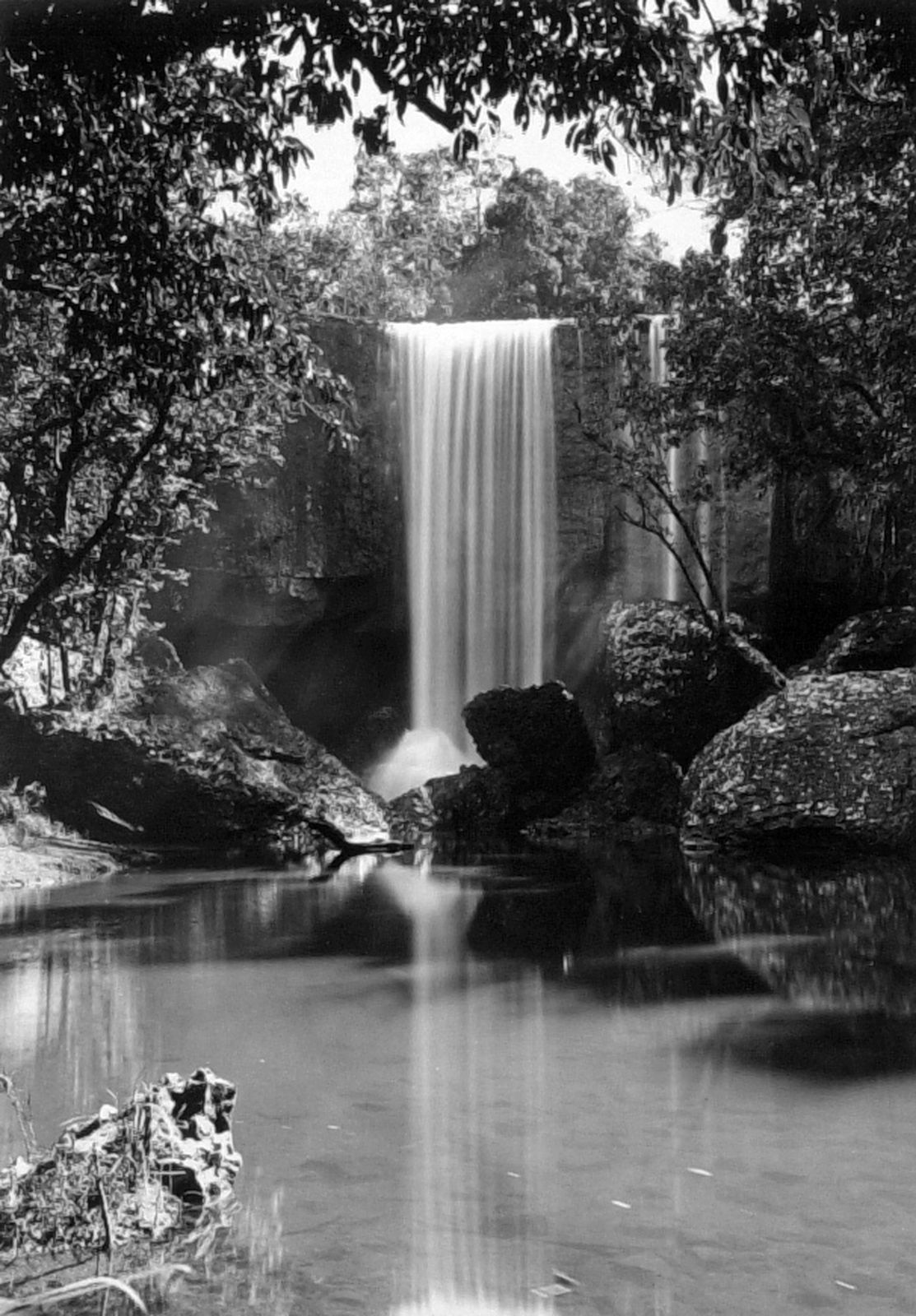 Primary photo of Cassowary Falls