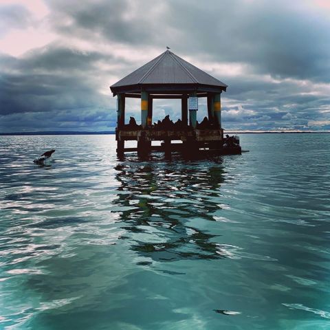 Photo of Chinaman's Hat (Port Phillip Bay)