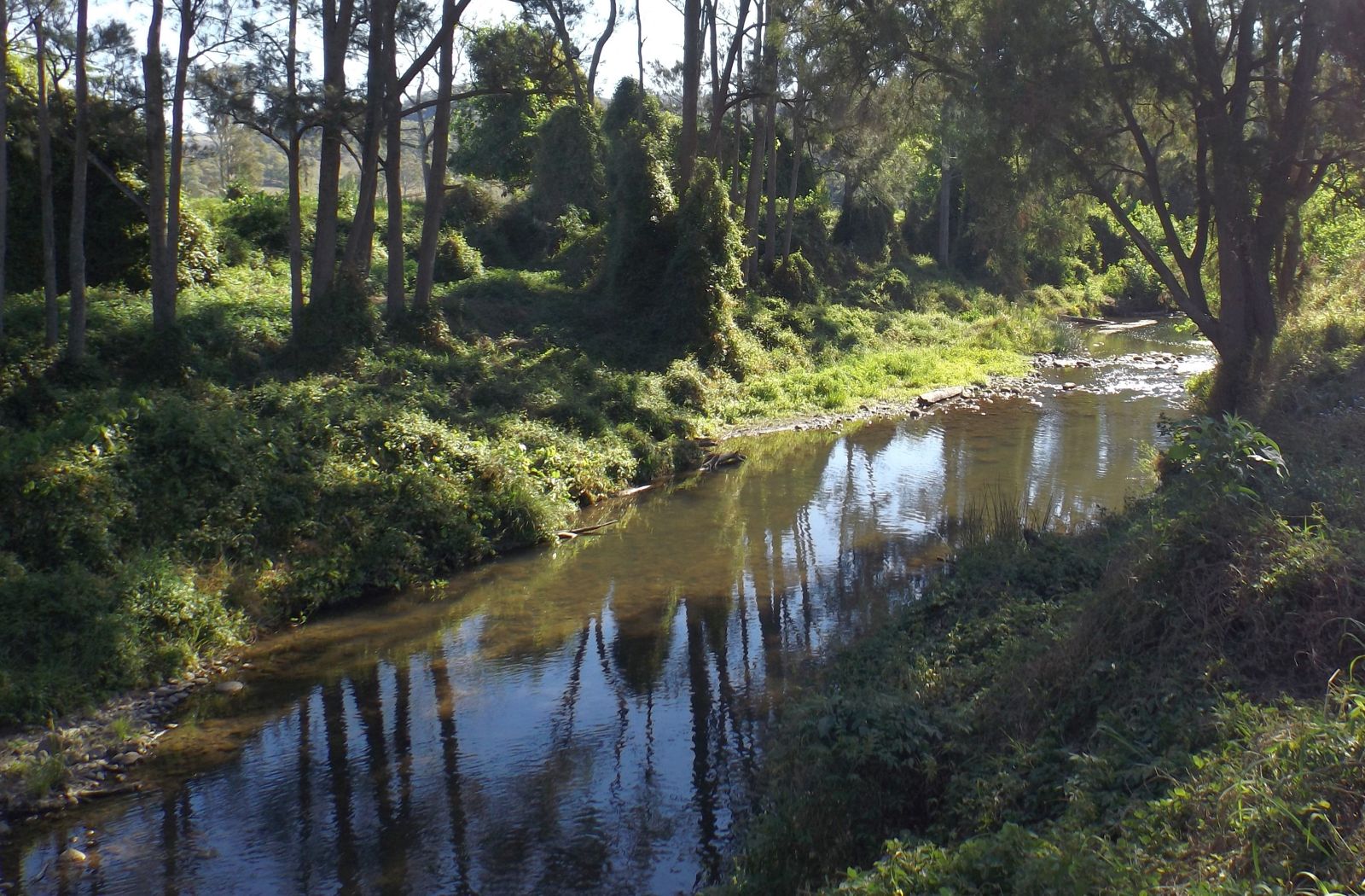 Primary photo of Christmas Creek Pools