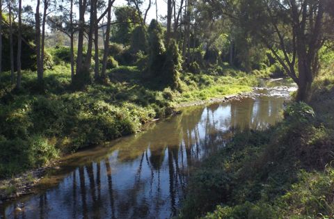 Photo of Christmas Creek Pools