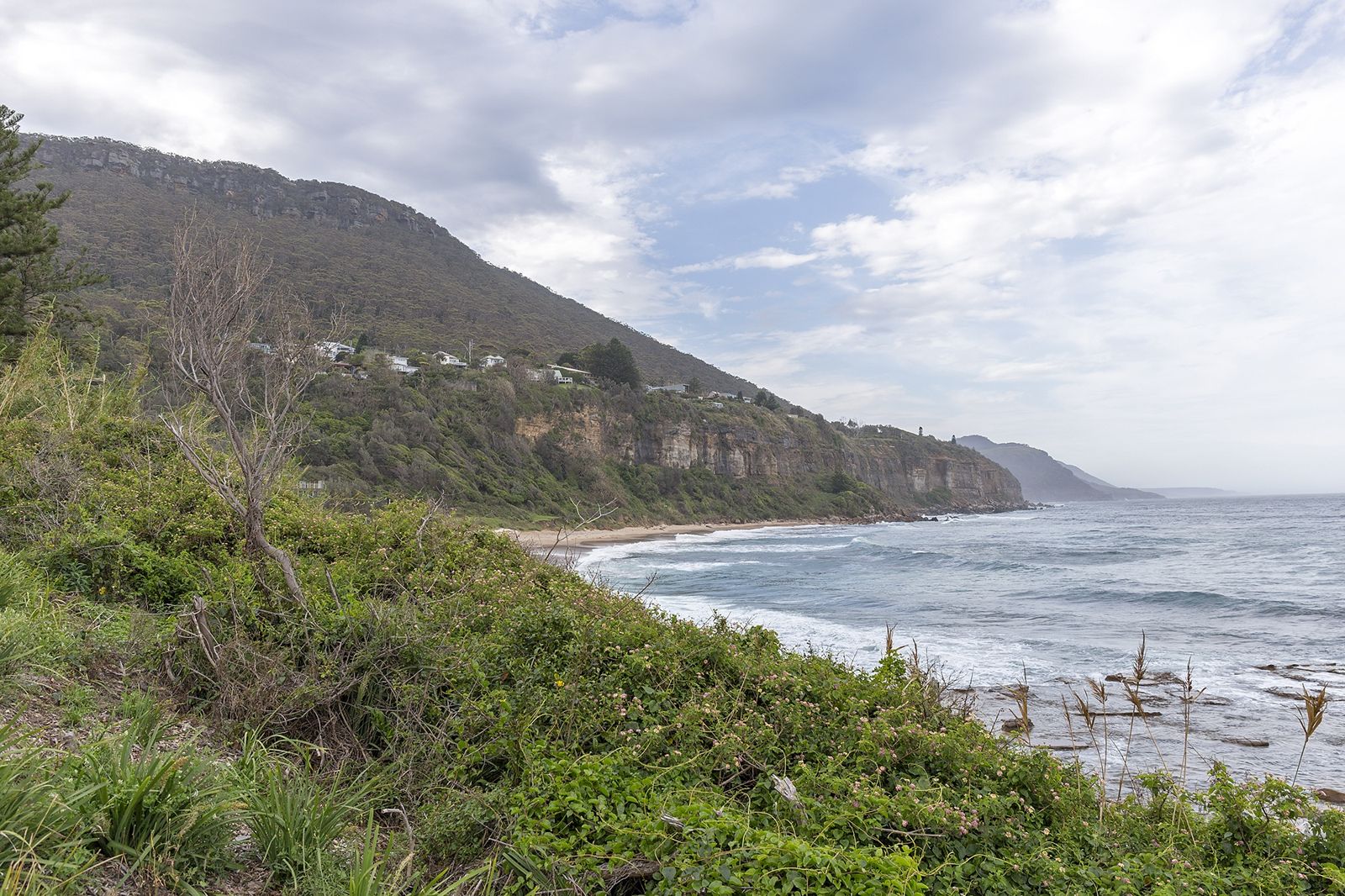 Primary photo of Coalcliff Beach