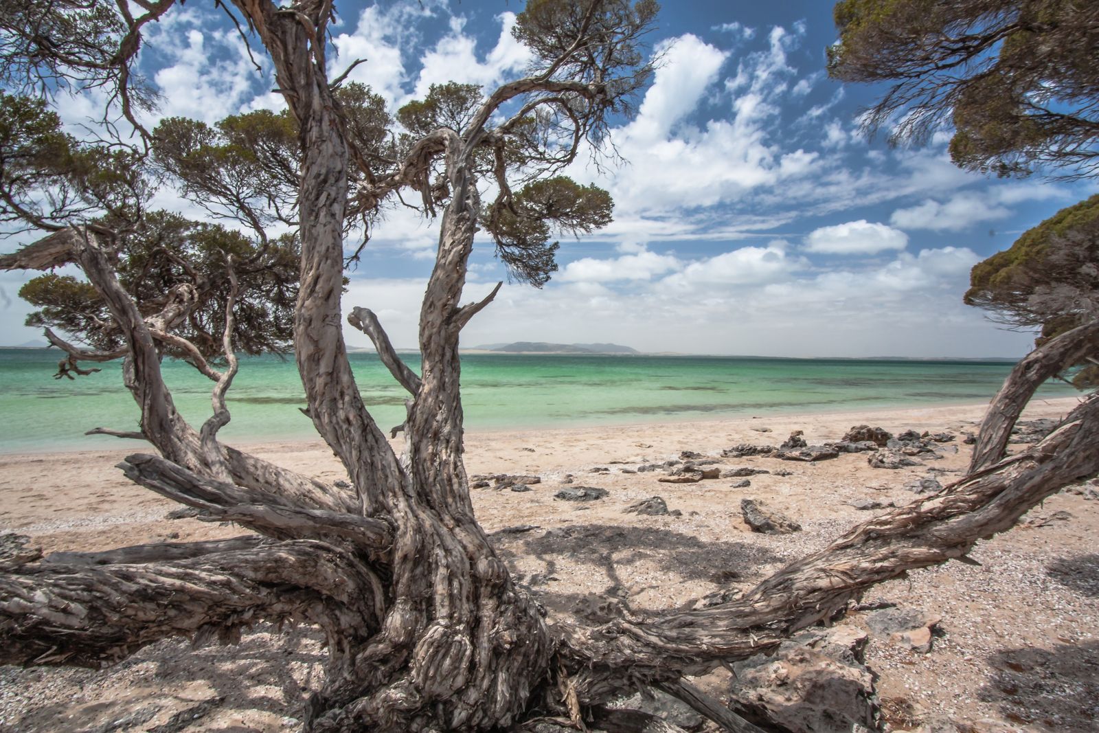 Primary photo of Coffin Bay - Black Springs