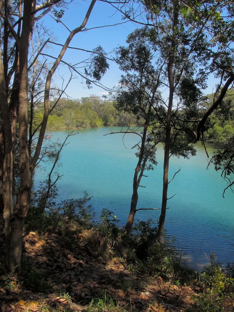 Primary photo of Coffs Creek