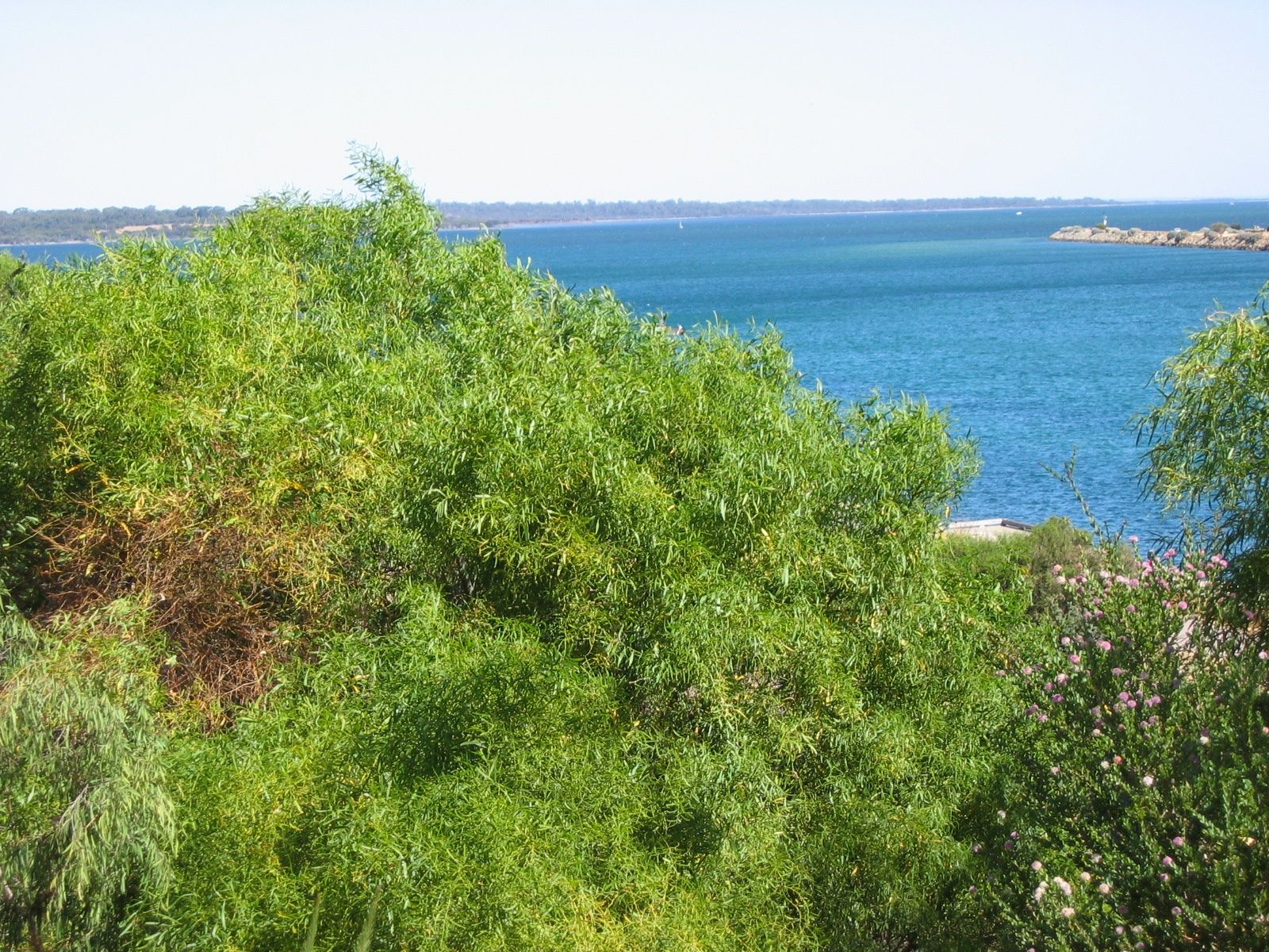 Primary photo of Dawesville Channel