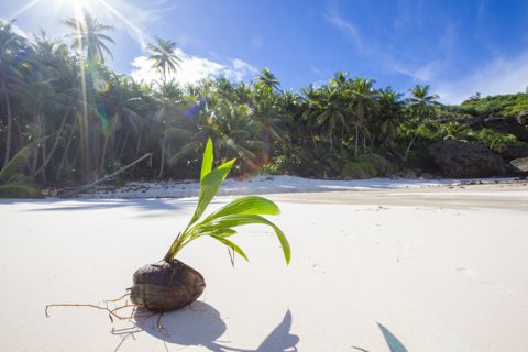 Photo of Dolly Beach
