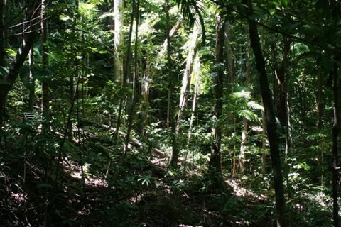 Photo of Dunk Island (Coonanglebah)