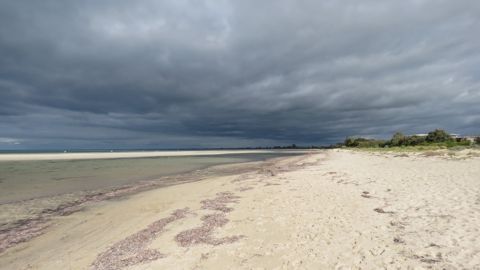 Photo of Dunsborough Beach / Dunsborough Foreshore