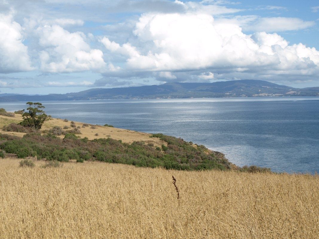 Primary photo of Eaglehawk Island
