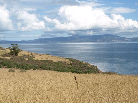 Photo of Eaglehawk Island