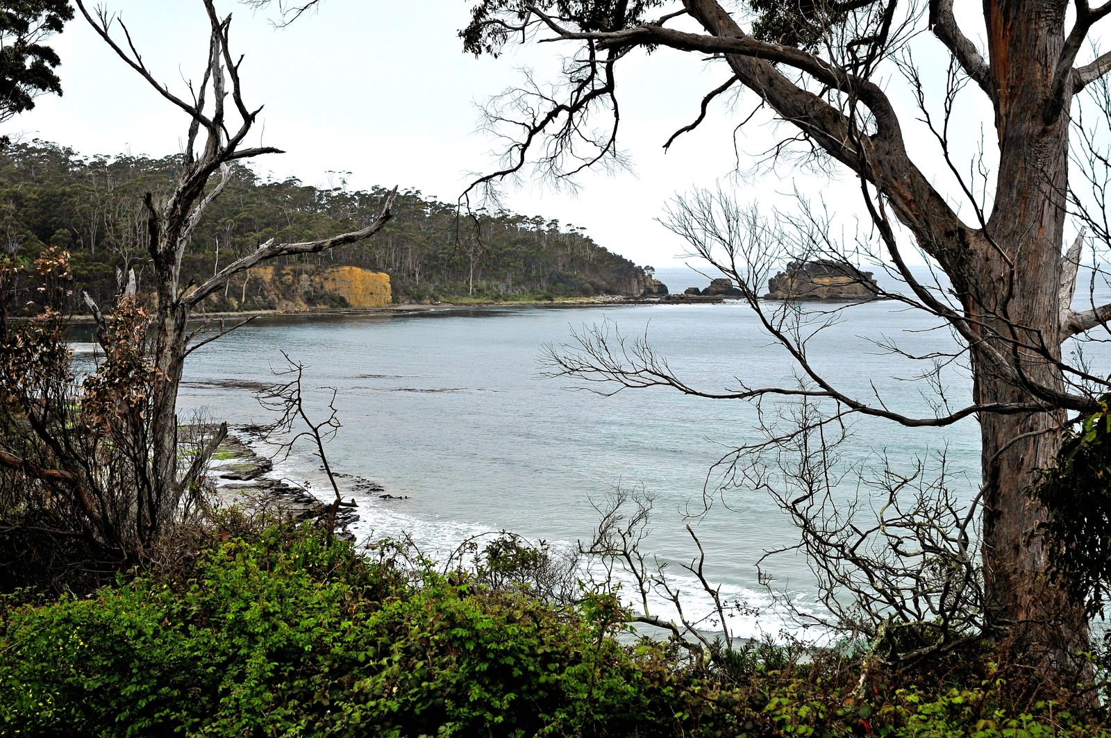 Primary photo of Eaglehawk Neck / Pirates Bay
