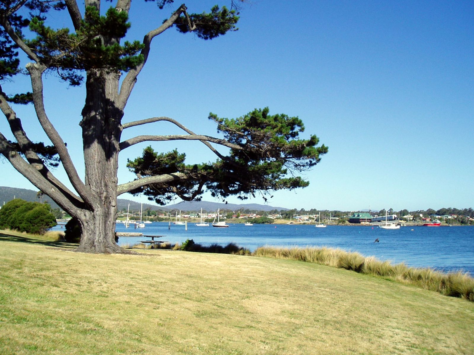 Primary photo of East Beach (Low Head)