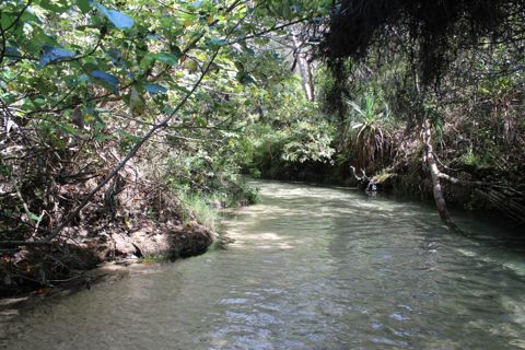 Photo of Eli Creek