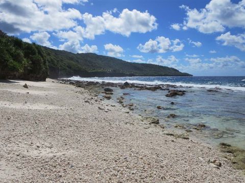 Photo of Ethel Beach
