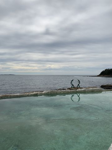 Photo of Fairy Bower