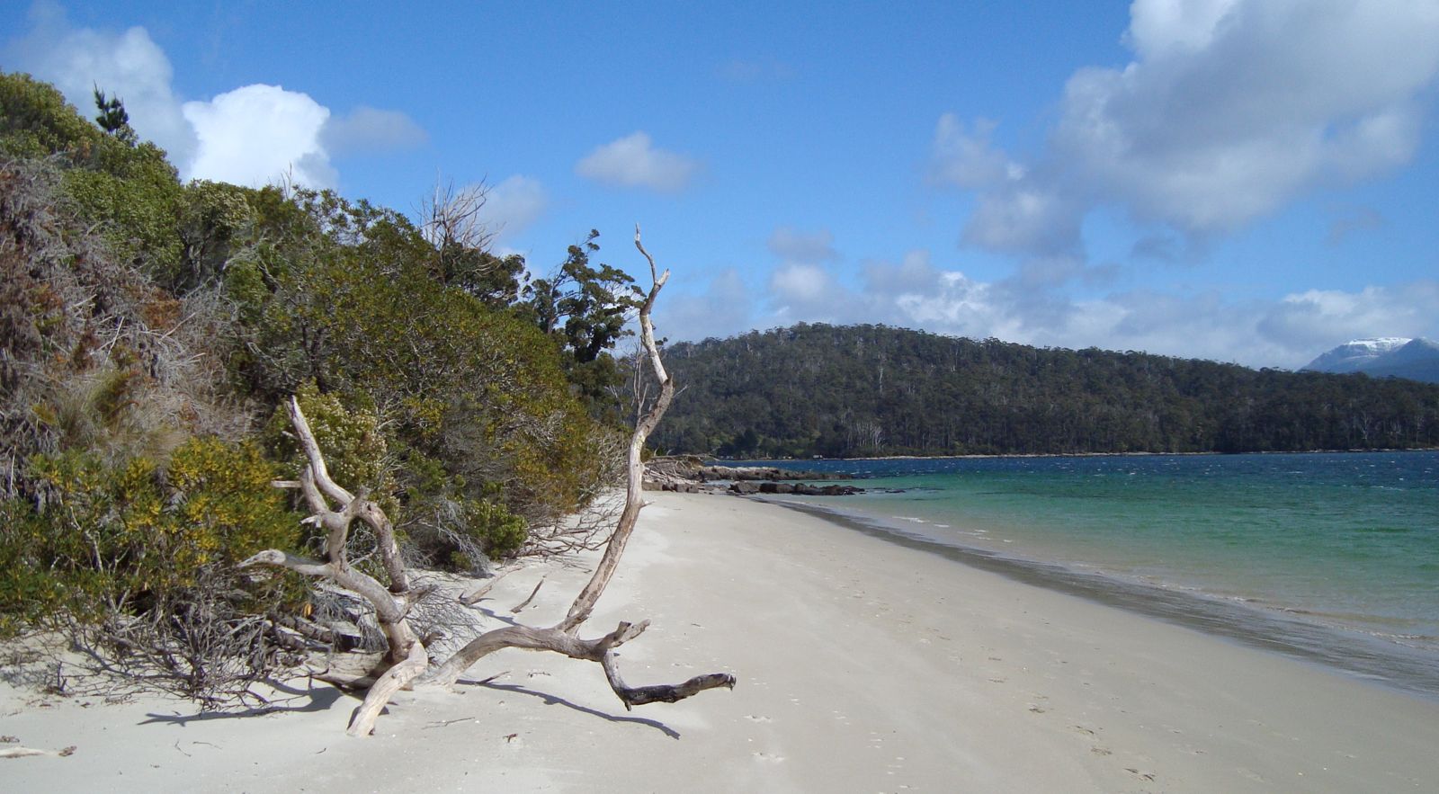 Primary photo of Fishers Point (Recherche Bay)