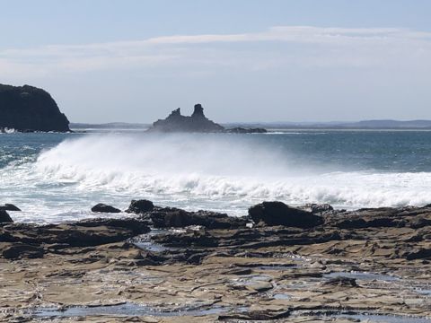 Photo of Flat Rocks (Inverloch / Bunurong Marine Park)