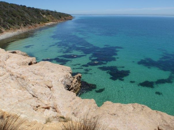 Primary photo of Flinders Beach