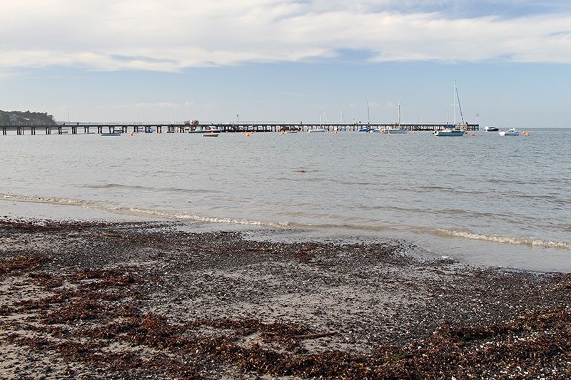 Primary photo of Flinders Pier