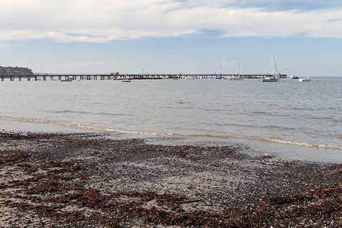 Photo of Flinders Pier