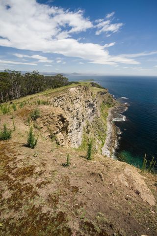 Photo of Fossil Cliffs Snorkeling Area
