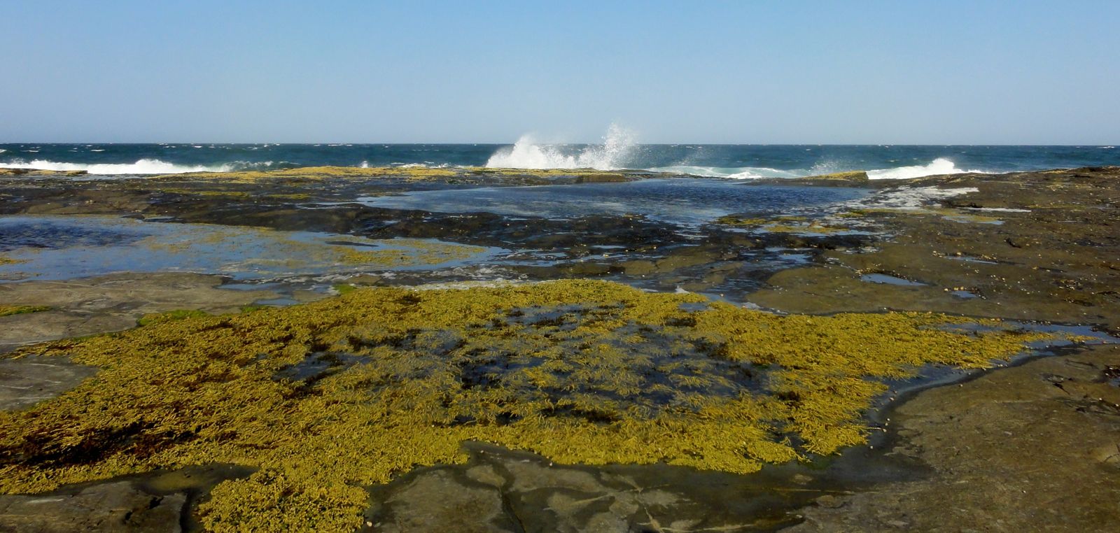 Primary photo of Frazer Beach (Iluka)