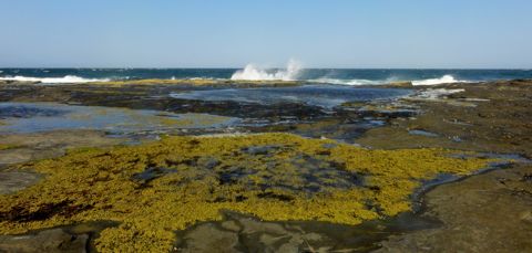 Photo of Frazer Beach (Iluka)