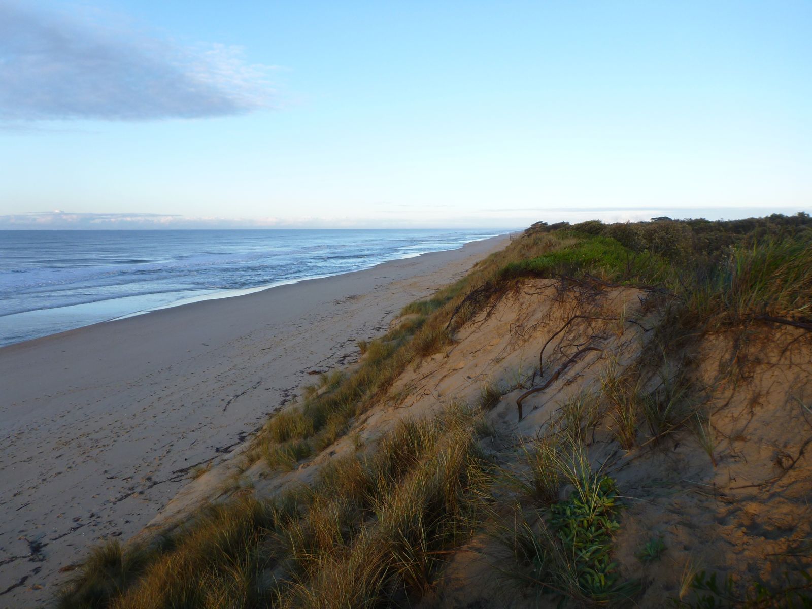 Primary photo of Golden Beach