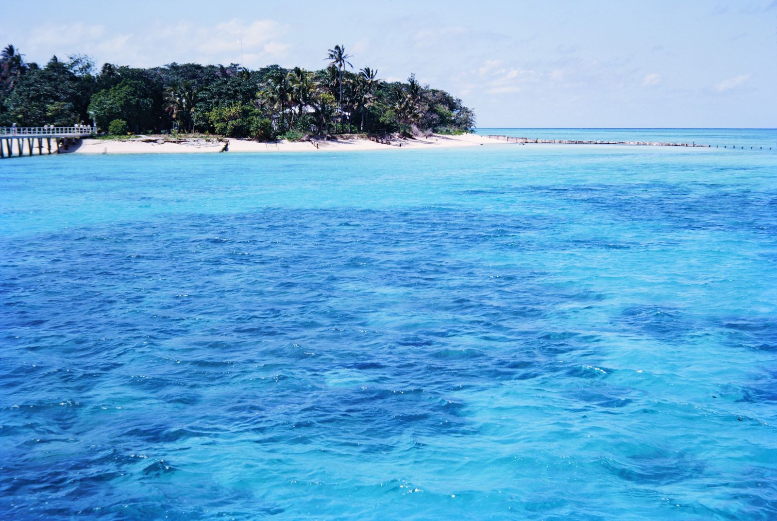 Primary photo of Green Island Jetty (under-jetty snorkel)