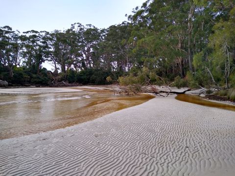 Photo of Green Patch