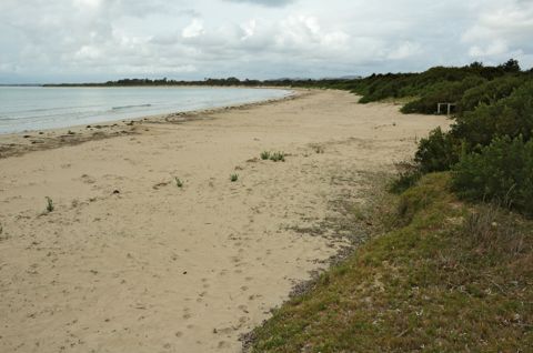 Photo of Greens Beach